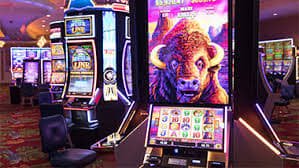 a20bet a20bet